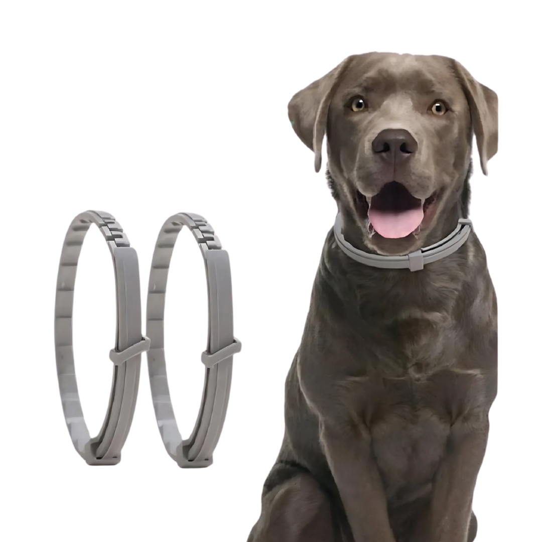 Tekenhalsband voor Hond & Kat – VitaPaw | Verstelbaar & Waterdicht zonder Chemie
